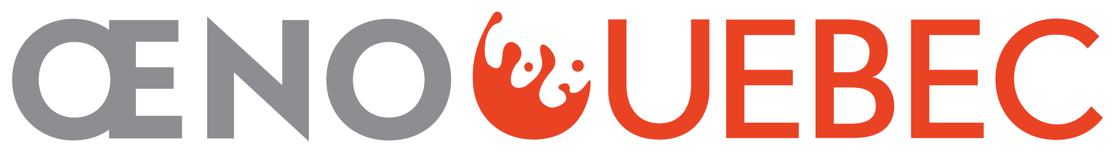 Logo partenaire 1